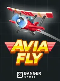 Avia Fly crash at 995BT COM